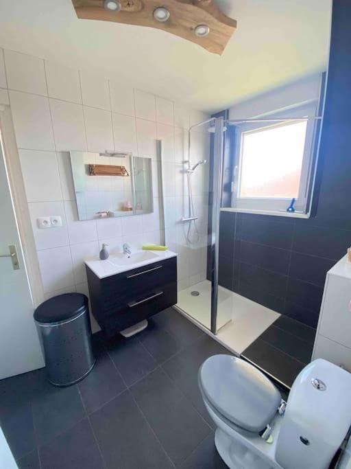 Logement Ideal Pour Un Sejour Alsacien En Amoureux Colmar Kültér fotó