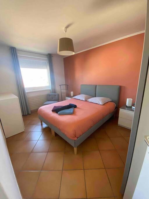 Logement Ideal Pour Un Sejour Alsacien En Amoureux Colmar Kültér fotó
